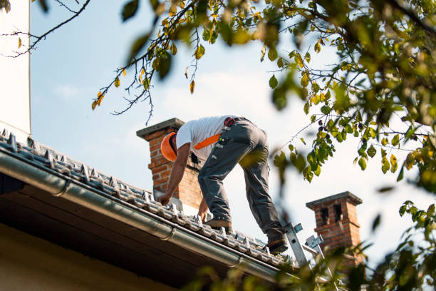 Best Rubber Roofing (EPDM, TPO)  in Madison, WI